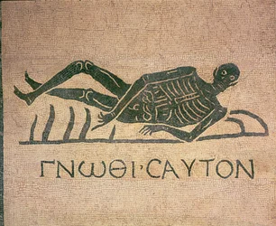 Reclining Skeleton with the Caption 